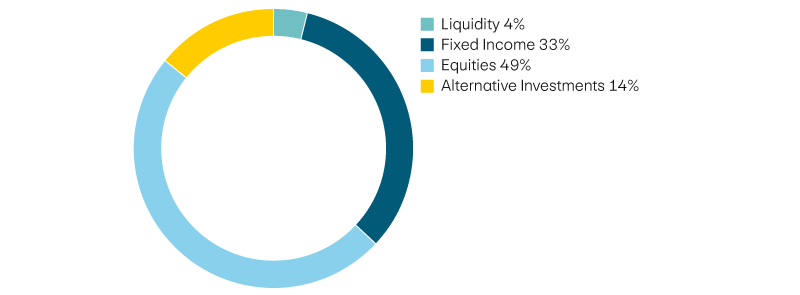 Liquidity 4%, income 33%, equities 49%, alternative investments 14%