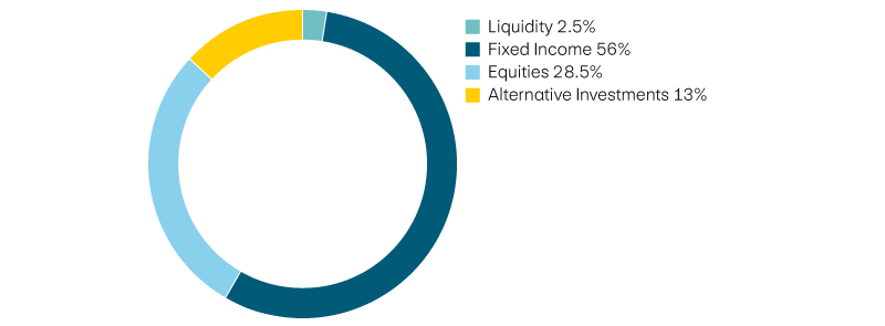 Liquidity 2,5%, income 56%, equities 28,5%, alternative investments 13%