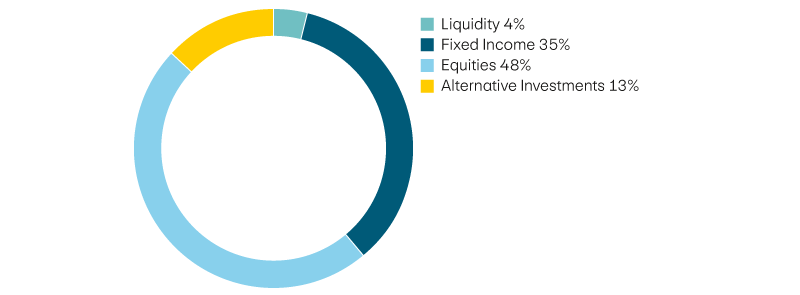 Liquidity 4%, income 35%, equities 48%, alternative investments 13%