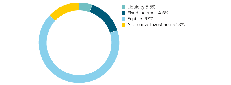 Liquidity 5,5%, income 14,5%, equities 67%, alternative investments 13%