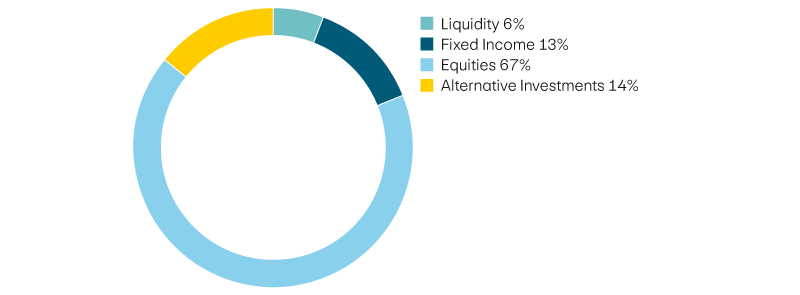 Liquidity 6%, income 13%, equities 67%, alternative investments 14%
