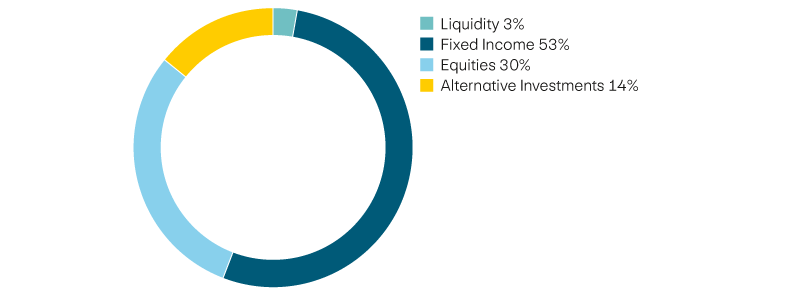 Liquidity 3%, income 53%, equities 30%, alternative investments 14%