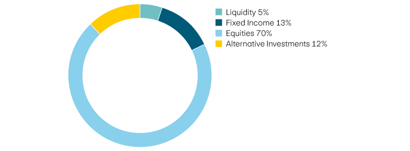 Liquidity 5%, income 13%, equities 70%, alternative investments 12%