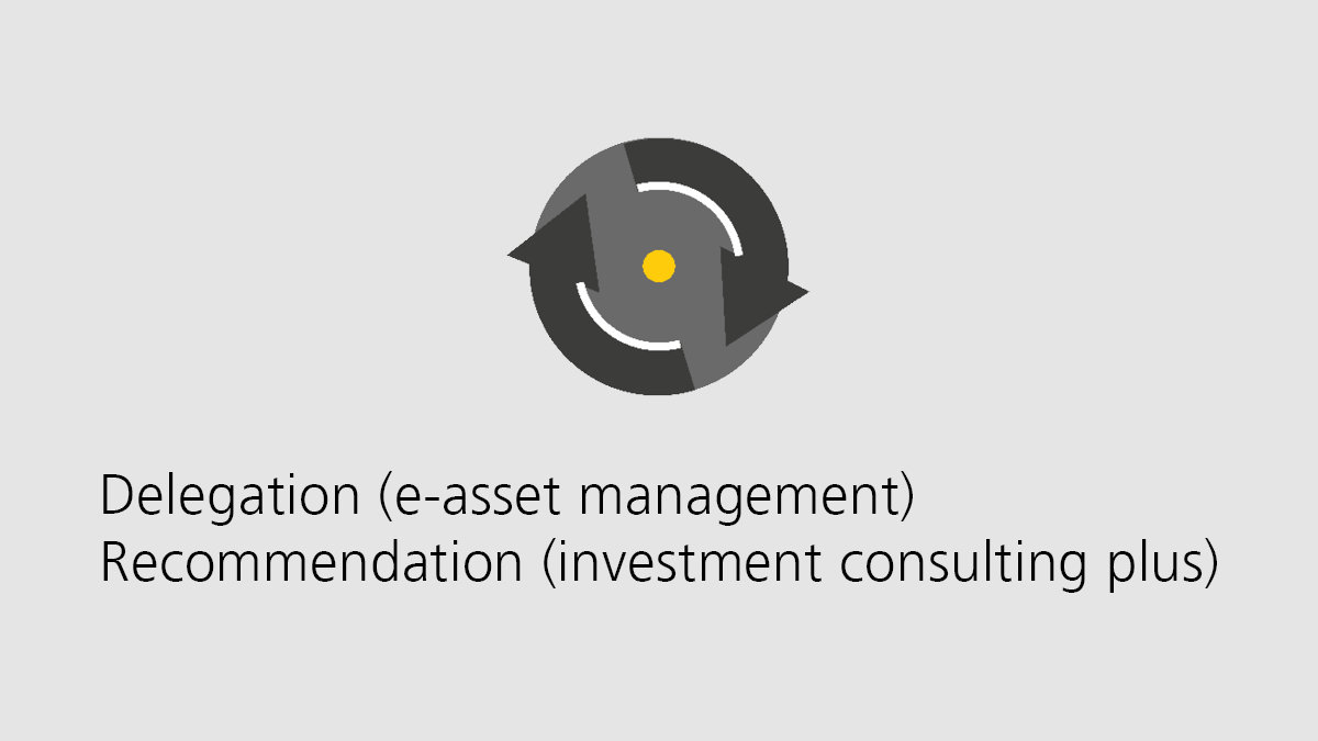 Delegation (e-asset management) / Recommendation (investment consulting plus)